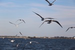 resIMG_20161126_162850_6681.JPG